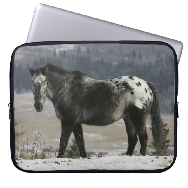 Capa Para Notebook Cavalo do Appaloosa na neve (Frente)