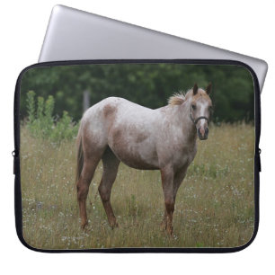 Capa Para Notebook Cavalo do Appaloosa que está na grama
