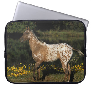 Capa Para Notebook Cavalo do Appaloosa que está pelo lago