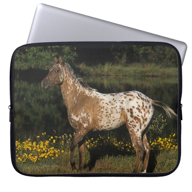 Capa Para Notebook Cavalo do Appaloosa que está pelo lago (Frente)