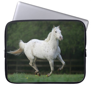 Capa Para Notebook Cavalo do Appaloosa que funciona 1