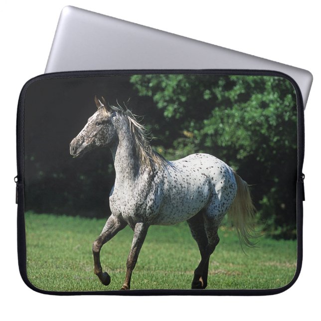 Capa Para Notebook Cavalo do Appaloosa que funciona 2 (Frente)