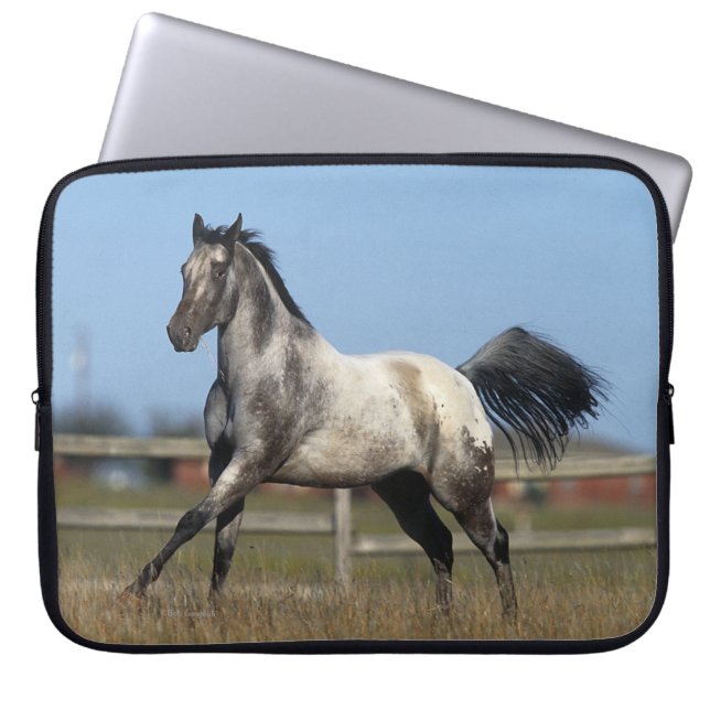 Capa Para Notebook Cavalo do Appaloosa que funciona 3 (Frente)