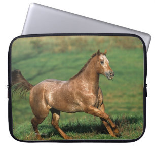 Capa Para Notebook Cavalo do Appaloosa que funciona no campo gramíne