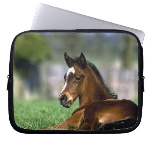 Capa Para Notebook Cavalo do puro-sangue   Ireland
