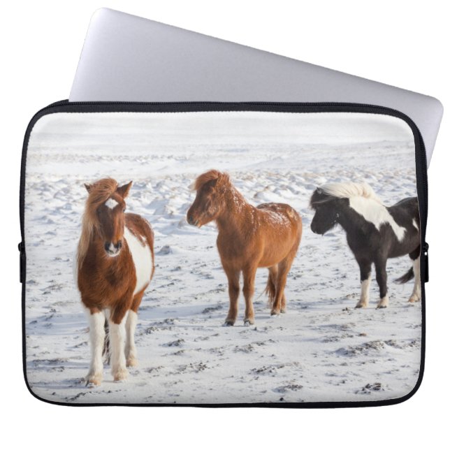 Capa Para Notebook Cavalo islandês com Casaco de inverno típico (Frente)