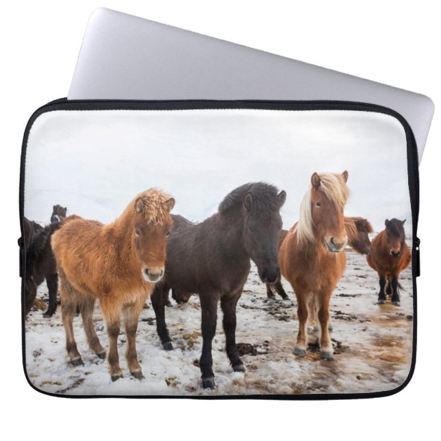 Capa Para Notebook Cavalo islandês Durante o inverno na Islândia (Frente)