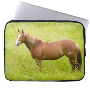 Capa Para Notebook Cavalo no Campo de Primavera