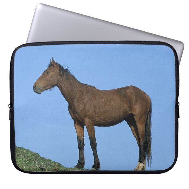 Capa Para Notebook Cavalo selvagem do mustang (Frente)
