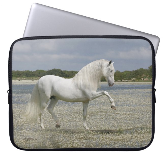 Capa Para Notebook Cavalos da fantasia: Senhor do lago (Frente)
