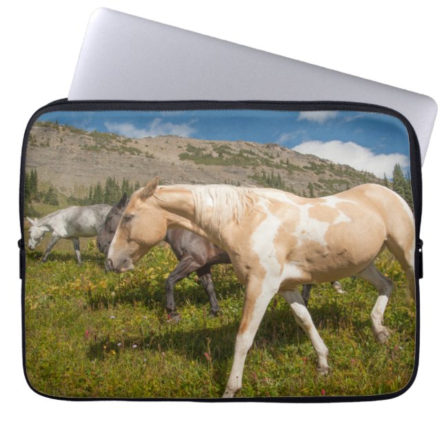 Capa Para Notebook Cavalos e mulas (Frente)