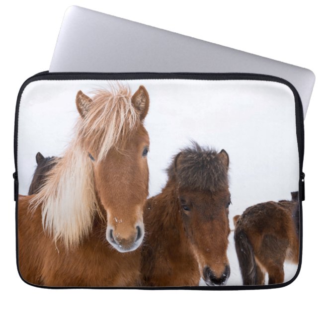 Capa Para Notebook Cavalos islandeses fofos juntos (Frente)