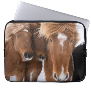 Capa Para Notebook Cavalos islandeses se aninham, Islândia