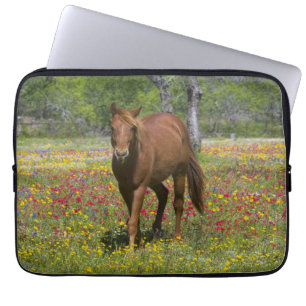 Capa Para Notebook Cavalos Quarto de Milha em Campo de Flores Silvest