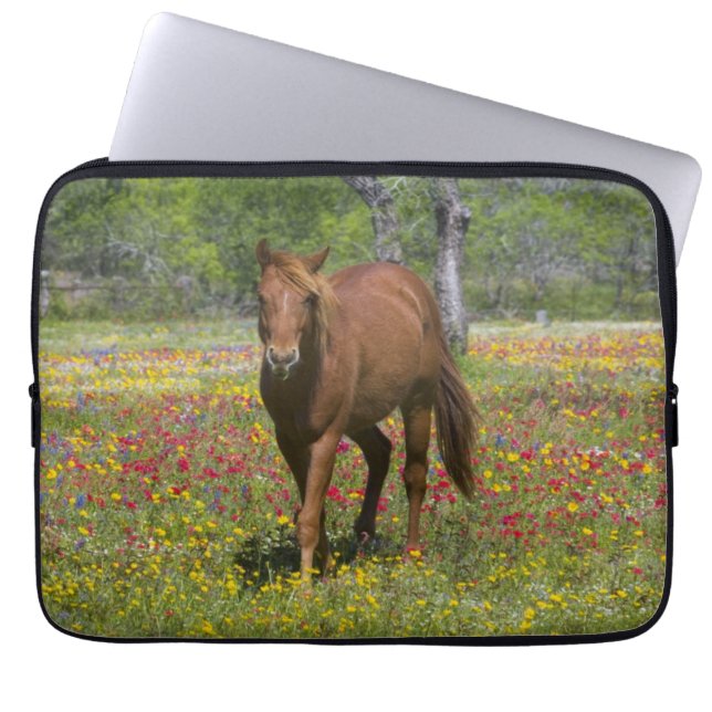 Capa Para Notebook Cavalos Quarto de Milha em Campo de Flores Silvest (Frente)