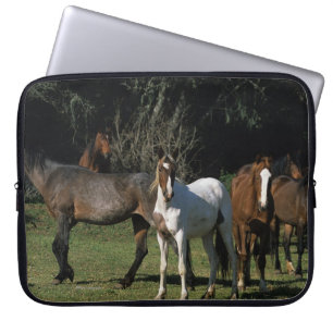 Capa Para Notebook Cavalos selvagens 1 do mustang