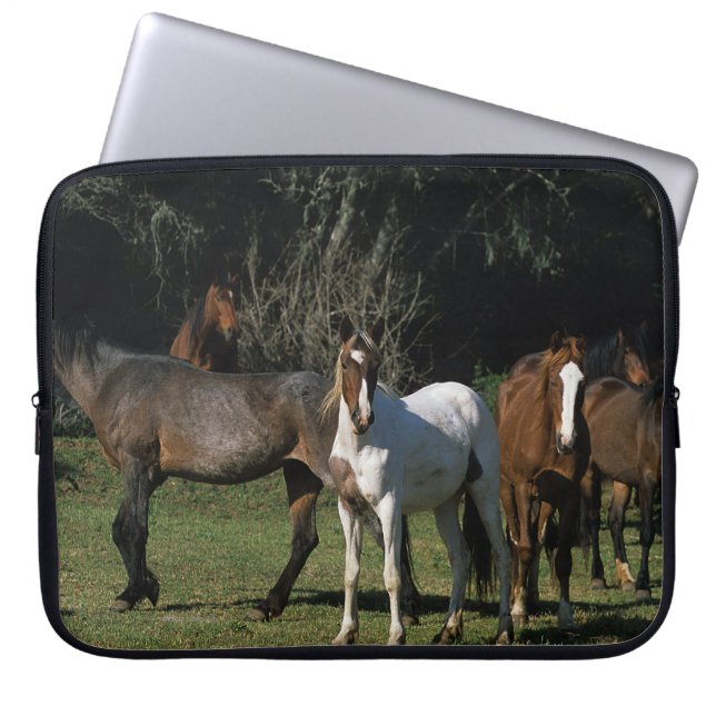 Capa Para Notebook Cavalos selvagens 1 do mustang (Frente)