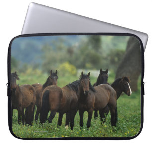 Capa Para Notebook Cavalos selvagens 3 do mustang