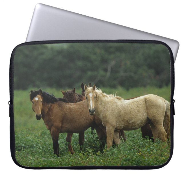 Capa Para Notebook Cavalos selvagens 4 do mustang (Frente)