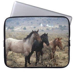 Capa Para Notebook Cavalos selvagens 5 do mustang