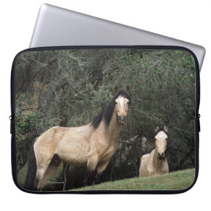 Capa Para Notebook Cavalos selvagens 6 do mustang