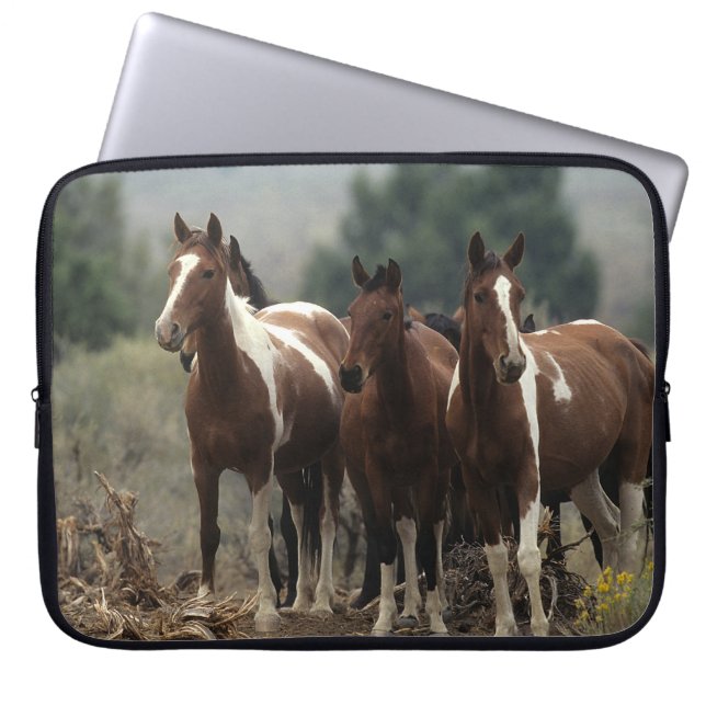 Capa Para Notebook Cavalos selvagens 7 do mustang (Frente)