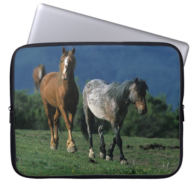 Capa Para Notebook Cavalos selvagens do mustang (Frente)