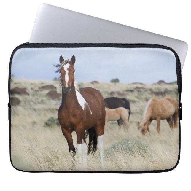 Capa Para Notebook Cavalos Selvagens, Montanhas Steens (Frente)