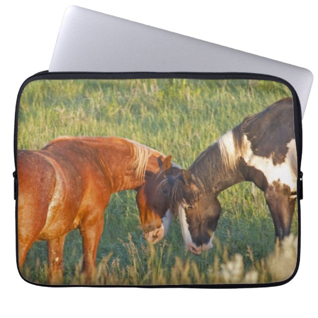 Capa Para Notebook Cavalos Selvagens no Parque Nacional Theodore Roos (Frente)