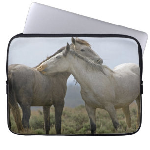 Capa Para Notebook Cavalos Selvagens Se Aconchegando