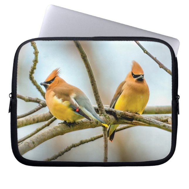 Capa Para Notebook Cedar Waxwing - Foto Original (Frente)