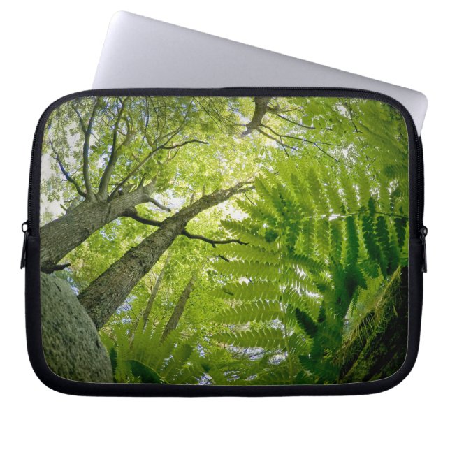 Capa Para Notebook Cena da floresta no Parque Nacional Acadia, Maine. (Frente)
