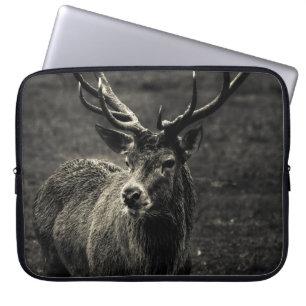 CAPA PARA NOTEBOOK CERVEJA 12 PONTOS TRASEIROS