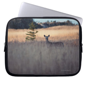 Capa Para Notebook Cervos no campo