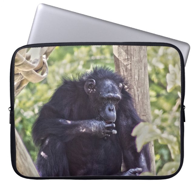 Capa Para Notebook Chimpanzé (Frente)