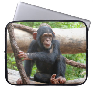 Capa Para Notebook Chimpanzé 001