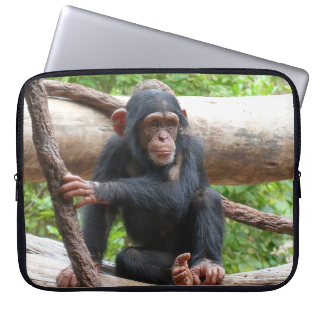 Capa Para Notebook Chimpanzé 001 (Frente)