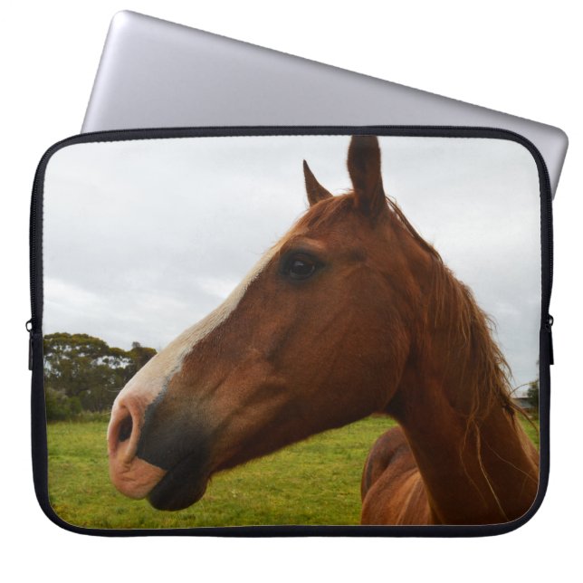 Capa Para Notebook Chocolate Chestnut Horse (Frente)