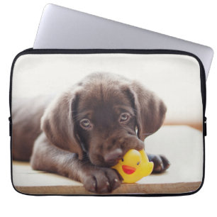 Capa Para Notebook Chocolate Labrador Com Pato De Brinquedo