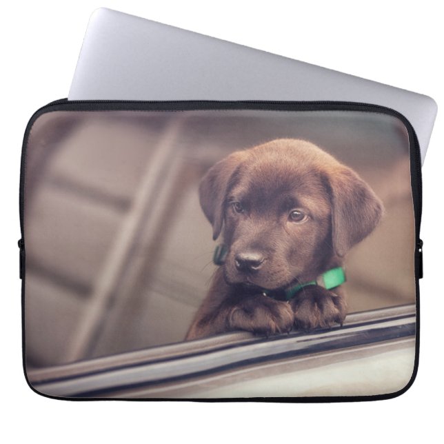 Capa Para Notebook Chocolate Labrador Pupido No Carro (Frente)