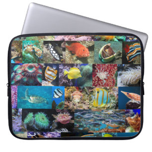 Capa Para Notebook Cientistas dos Peixes e Animais Marinhos do Coral