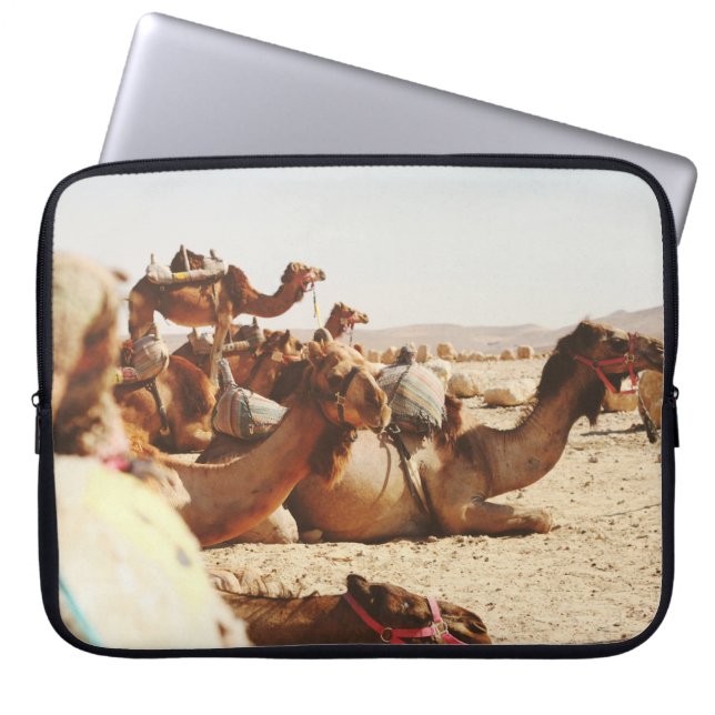 CAPA PARA NOTEBOOK CINCO CAMELOS NO CAMPO (Frente)