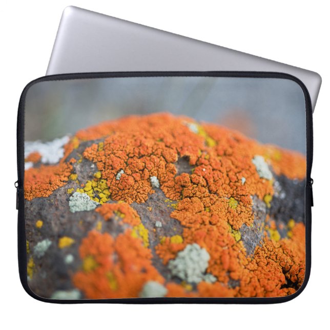 Capa Para Notebook Cinza de musgo de laranja (Frente)