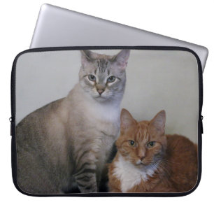 Capa Para Notebook Cinza Tabby e Orange Tabby Cats