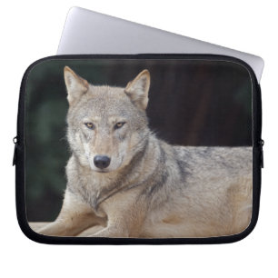 Capa Para Notebook Cinza Wolf Bolsa de laptop
