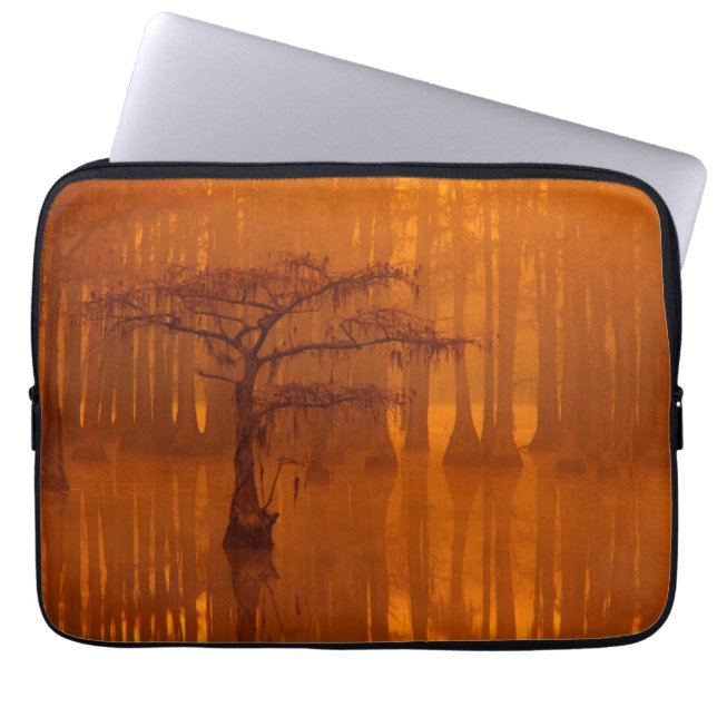 Capa Para Notebook Ciprestes | Parque Estadual George Smith (Frente)