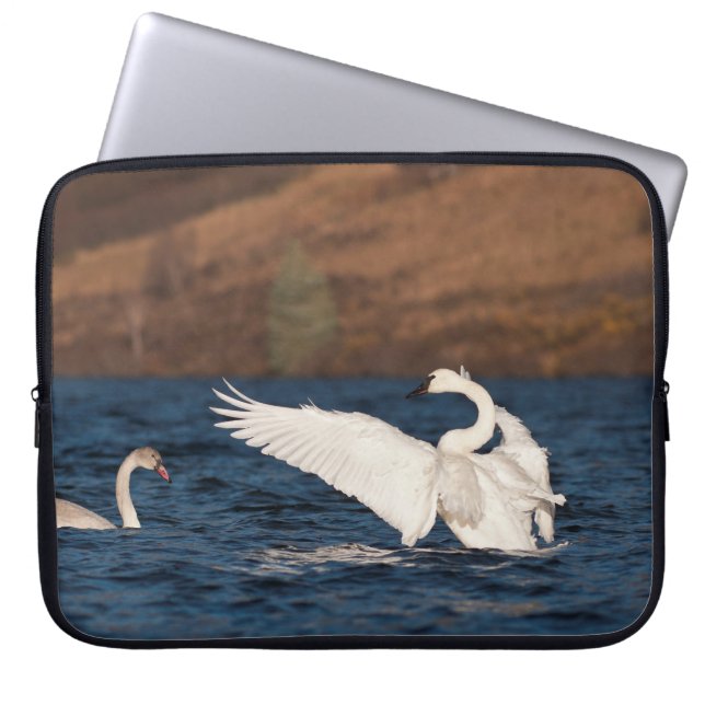 Capa Para Notebook Cisne Flapping (Frente)