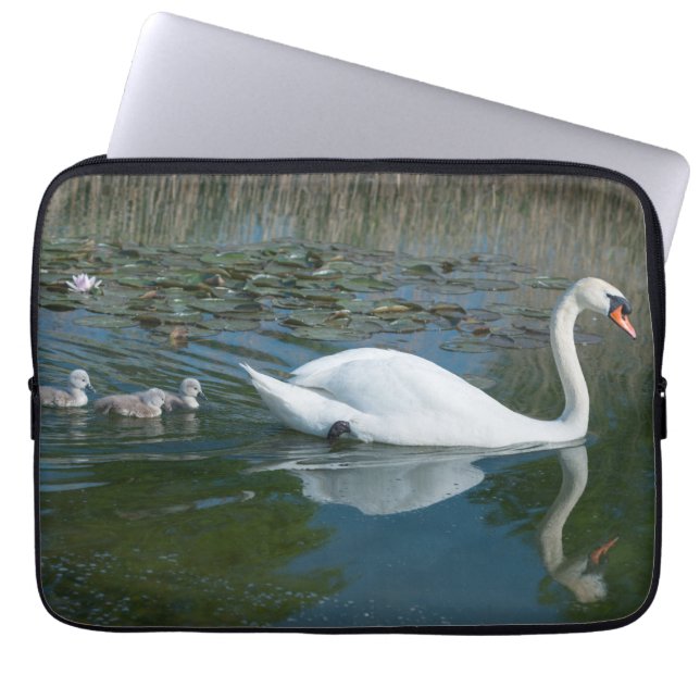 Capa Para Notebook Cisne mudo branco com cisnes filhotes no lago (Frente)