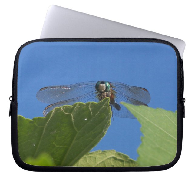 Capa Para Notebook Closeup de uma libélula contra um céu azul brilhan (Frente)