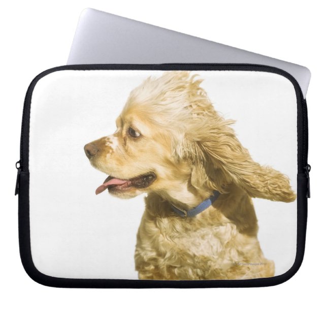 Capa Para Notebook Cocker Spaniel (Frente)
